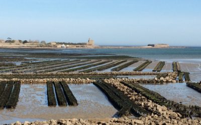 1ères visites sur site pour faire des villes-ports du Val de Saire les pilotes du programme Odyssea Tourisme et Croissance Bleue en Cotentin