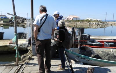 Journée test des Routes Bleues de Gruissan : belles expériences et soleil au rendez-vous !