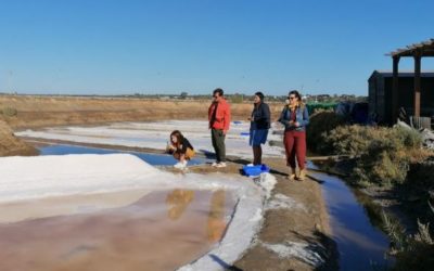 Félicitations à notre partenaire de la Diputación de Huelva (DPH) pour son initiative promotionnelle « Influencers trip », dans le cadre du projet Odyssea Blue Heritage