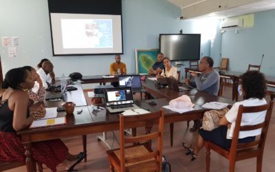 Les ateliers de travail sur les Routes Bleues Mythiques des Antilles sont lancés !