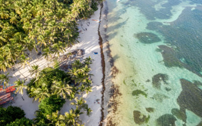 Conférence de presse à 11h30 (heure Martinique), ce vendredi 18 décembre 2020, à Rivière-Salée, à l’Espace Sud Martinique – salle de réunion