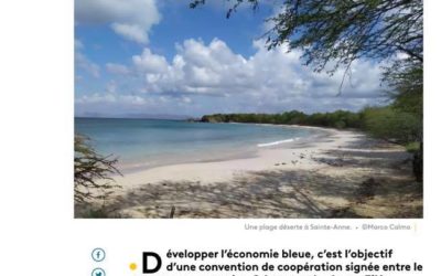 La presse en parle : la coopération  Ziléa / Odyssea pour le développement de l’économie bleue et du tourisme durable en Martinique !